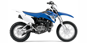 2014 Yamaha TT-R110E