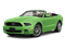 Gotta Have It Green Metallic Tri-coat 2013 Ford Mustang Pictures Mustang Convertible 2D photos front view Gotta Have It Green Metallic Tri-coat 2013 Ford Mustang Pictures Mustang Convertible 2D photos front view