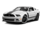 Performance White 2013 Ford Mustang Pictures Mustang Coupe 2D Boss 302 photos front view Performance White 2013 Ford Mustang Pictures Mustang Coupe 2D Boss 302 photos front view