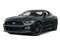 Guard Metallic 2015 Ford Mustang Pictures Mustang Coupe 2D GT V8 photos front view Guard Metallic 2015 Ford Mustang Pictures Mustang Coupe 2D GT V8 photos front view
