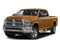 Power Tan 2016 Ram Truck 2500 Pictures 2500 Crew Power Wagon Tradesman 4WD photos front view Power Tan 2016 Ram Truck 2500 Pictures 2500 Crew Power Wagon Tradesman 4WD photos front view