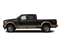 2013 Ford Super Duty F-250 SRW Pictures Super Duty F-250 SRW Crew Cab King Ranch 4WD photos side view 2013 Ford Super Duty F-250 SRW Pictures Super Duty F-250 SRW Crew Cab King Ranch 4WD photos side view